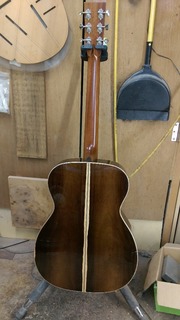 IMAG1795.jpg